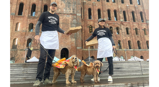 Halloween Costume with Dogs