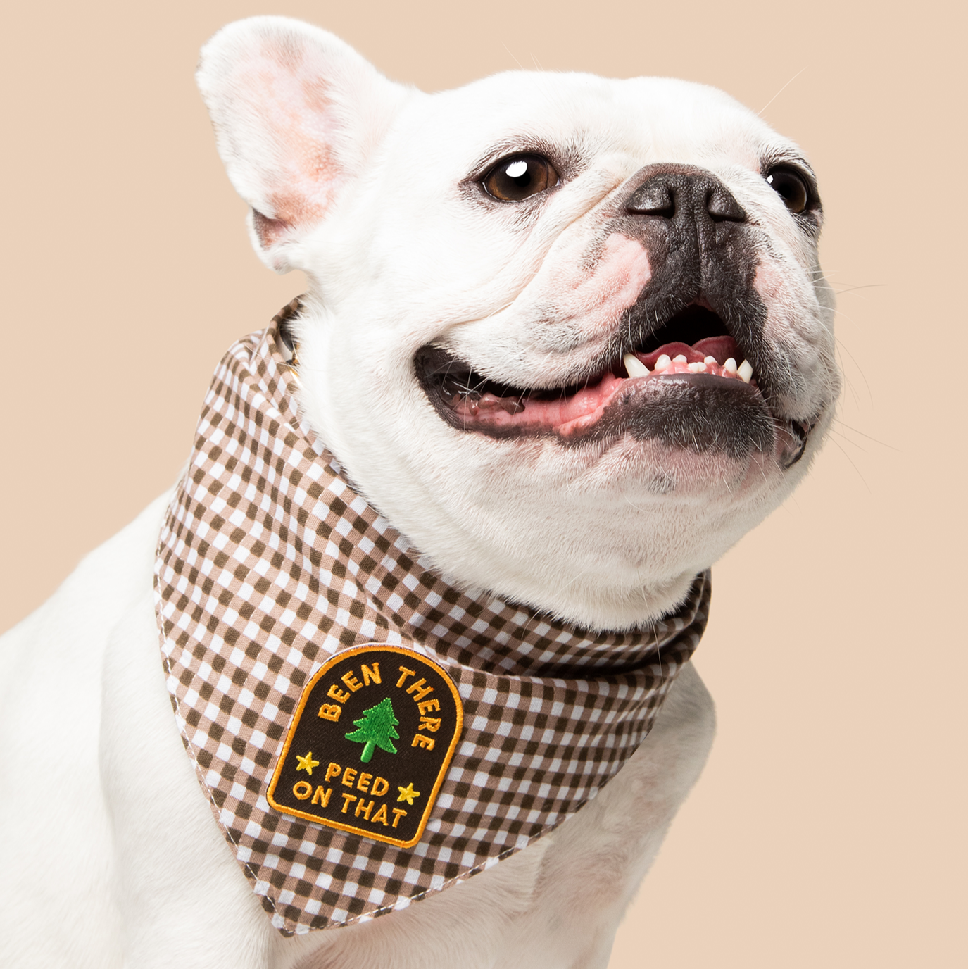 Scout's Honour - Been There Peed on That iron-on patch for dogs