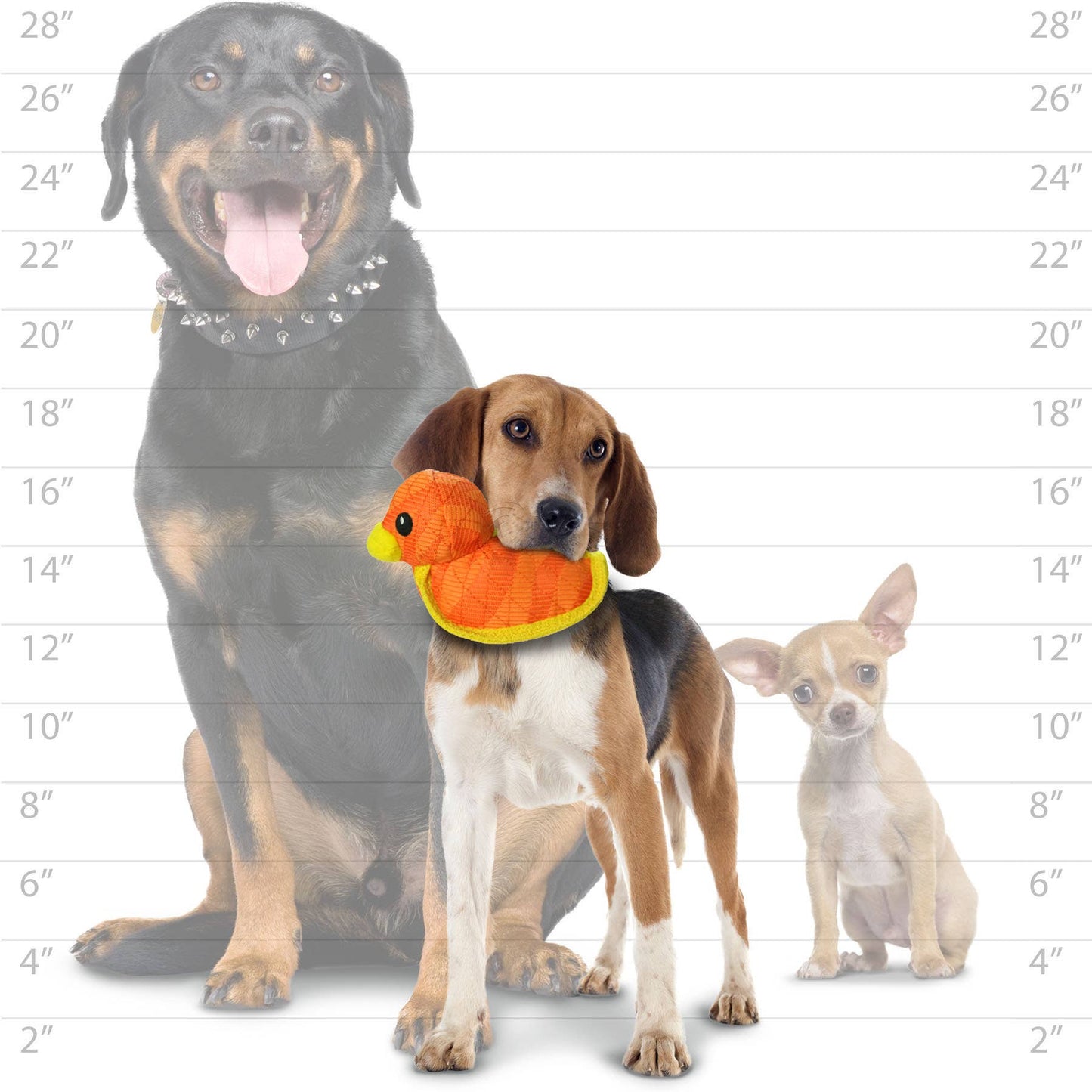 DuraForce Duck Tiger - Orange, Durable, Squeaky Dog Toy