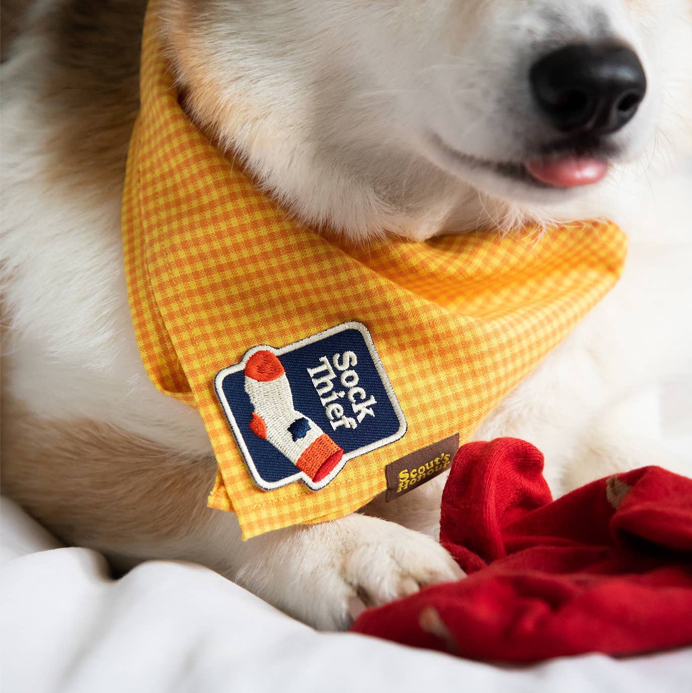 Scout's Honour - Sock Thief iron-on patch for dogs