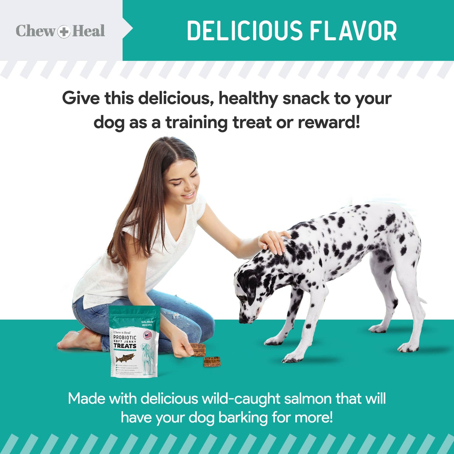 Chew + Heal : Wild Alaskan Probiotic Soft Jerky Treats for Dogs - 5oz.