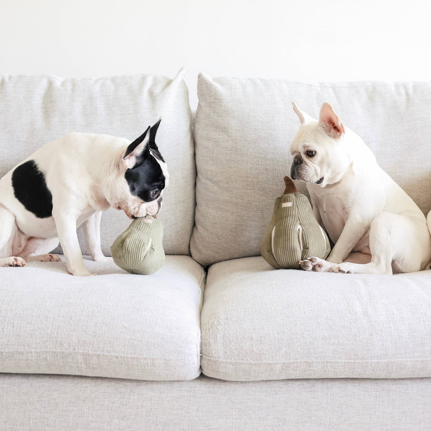 Lambwolf Collective: Butternut - Enrichment Dog Toy