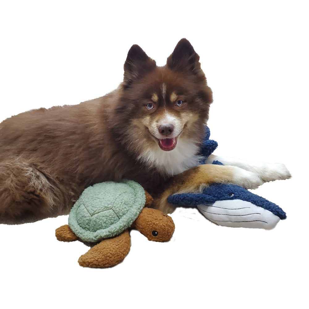 Dog Star - Sammy the Sea Turtle Fleece Dog Toy