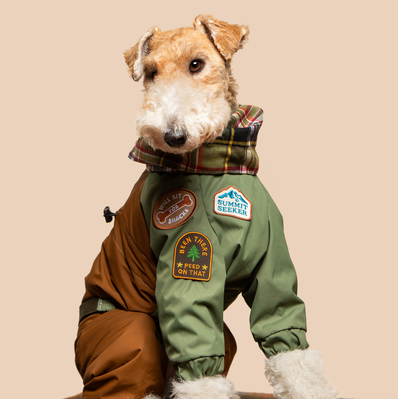 Scout's Honour - Belly Rub Club iron-on patch for dogs