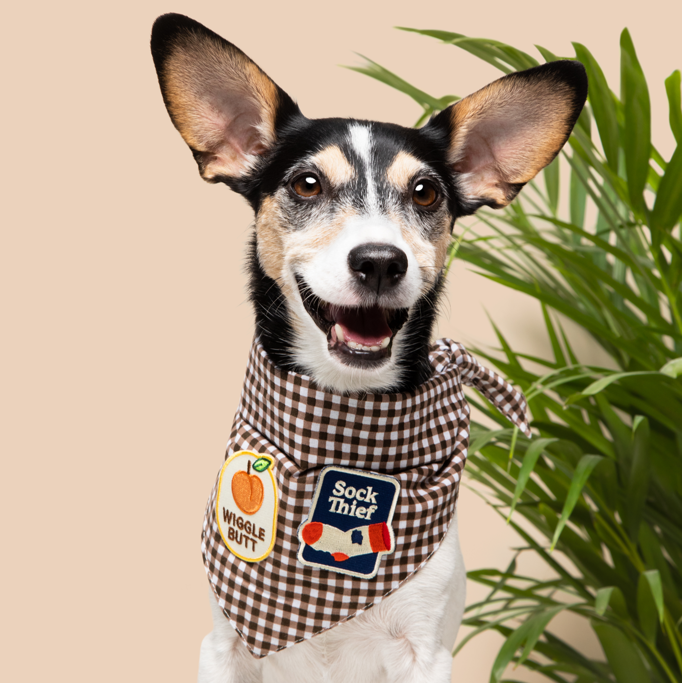 Scout's Honour - Wiggle Butt iron-on patch for dogs