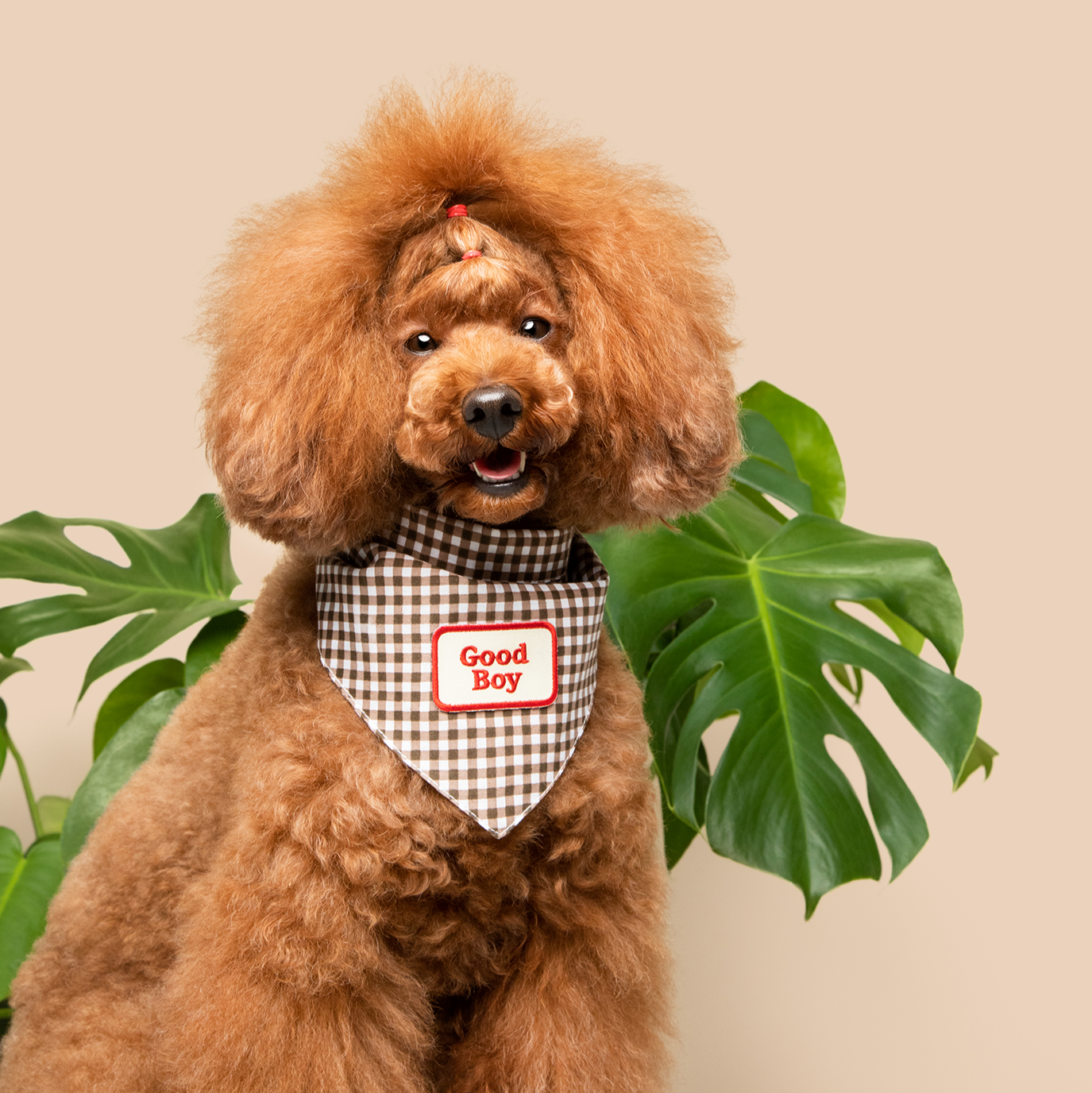 Scout's Honour - Good Boy iron-on patch for dogs