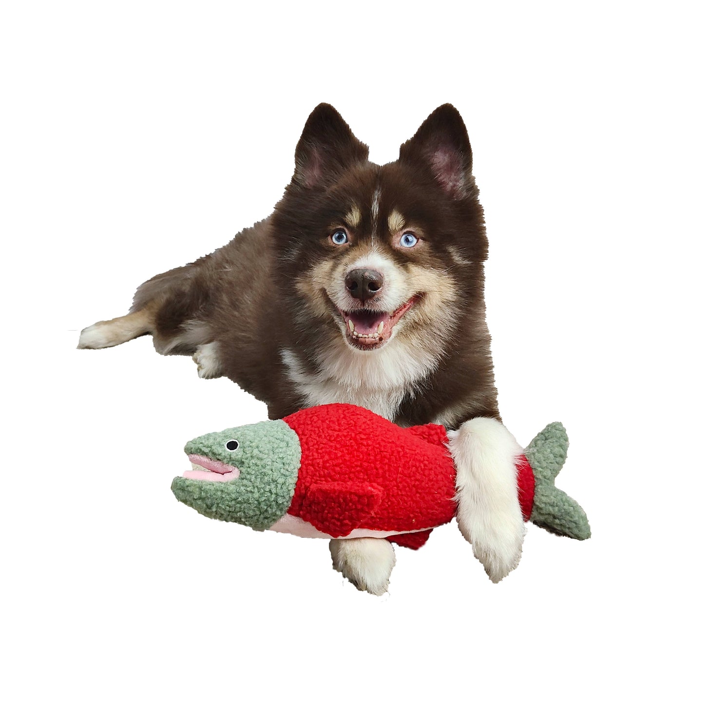 Dog Star - Seymour the Salmon Fleece Dog Toy