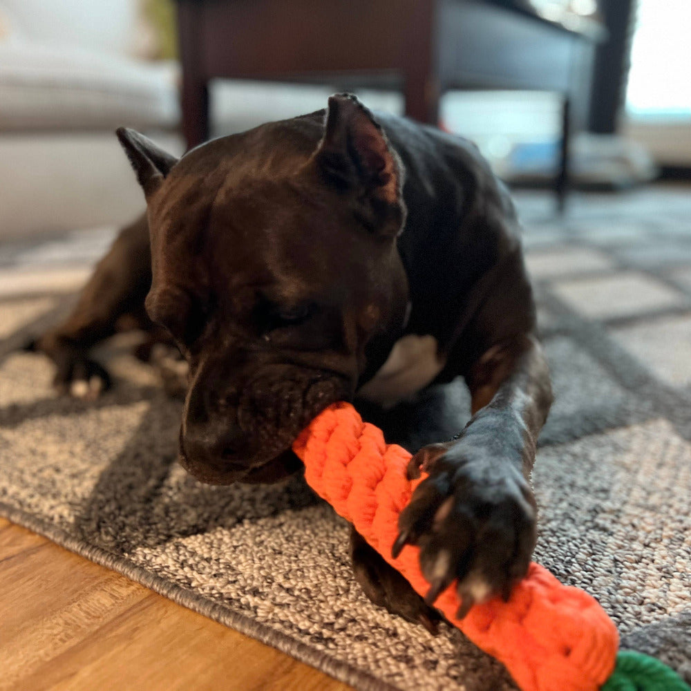 Monli Pet Toys - Handmade Vegetable Rope Toys, Macrame Toys: Large Carrot