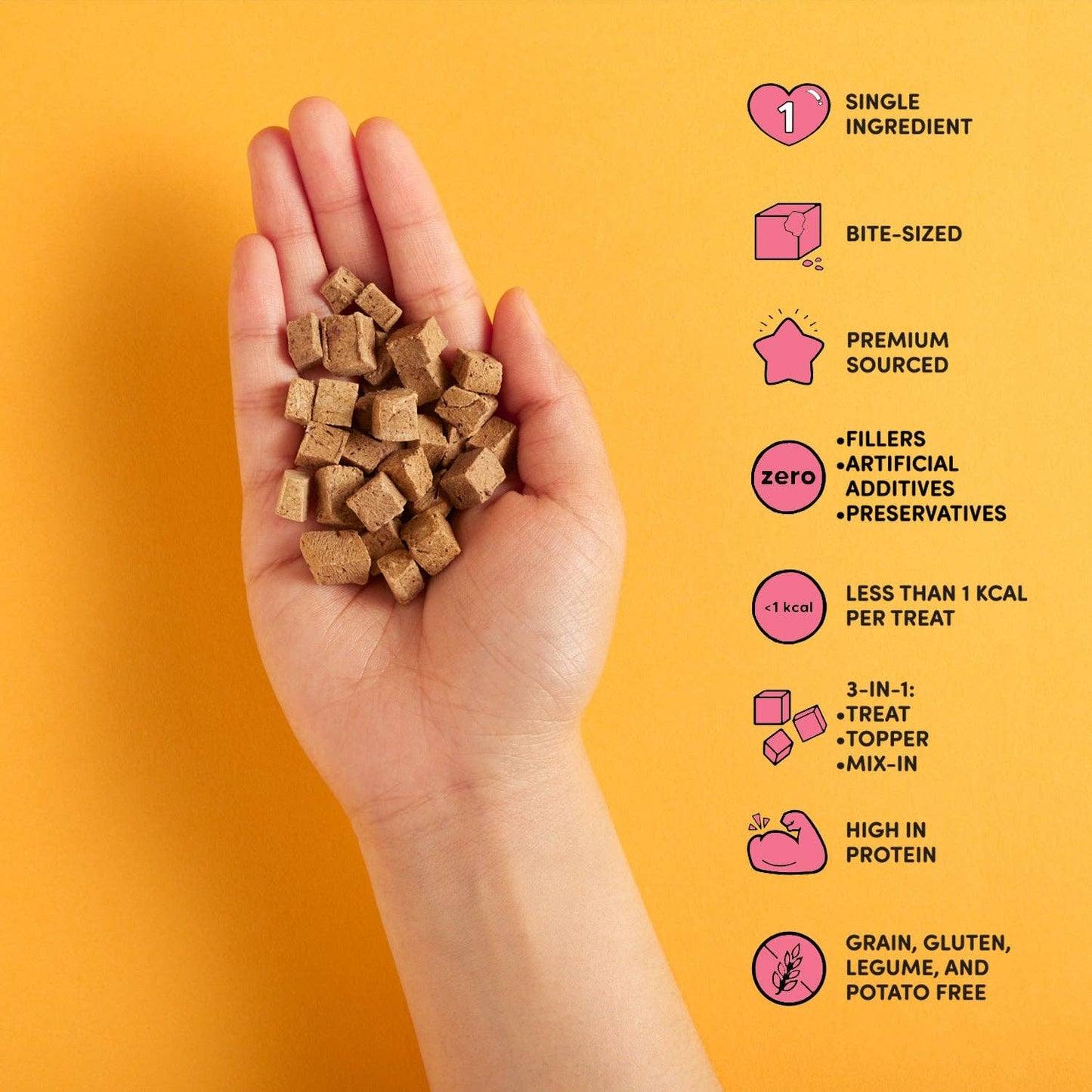 Beef Liver - Freeze Dried Raw Teeny Tiny Treats: 1 Bag