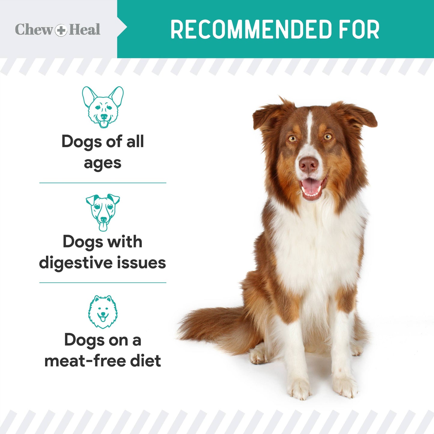 Chew + Heal : Wild Alaskan Probiotic Soft Jerky Treats for Dogs - 5oz.