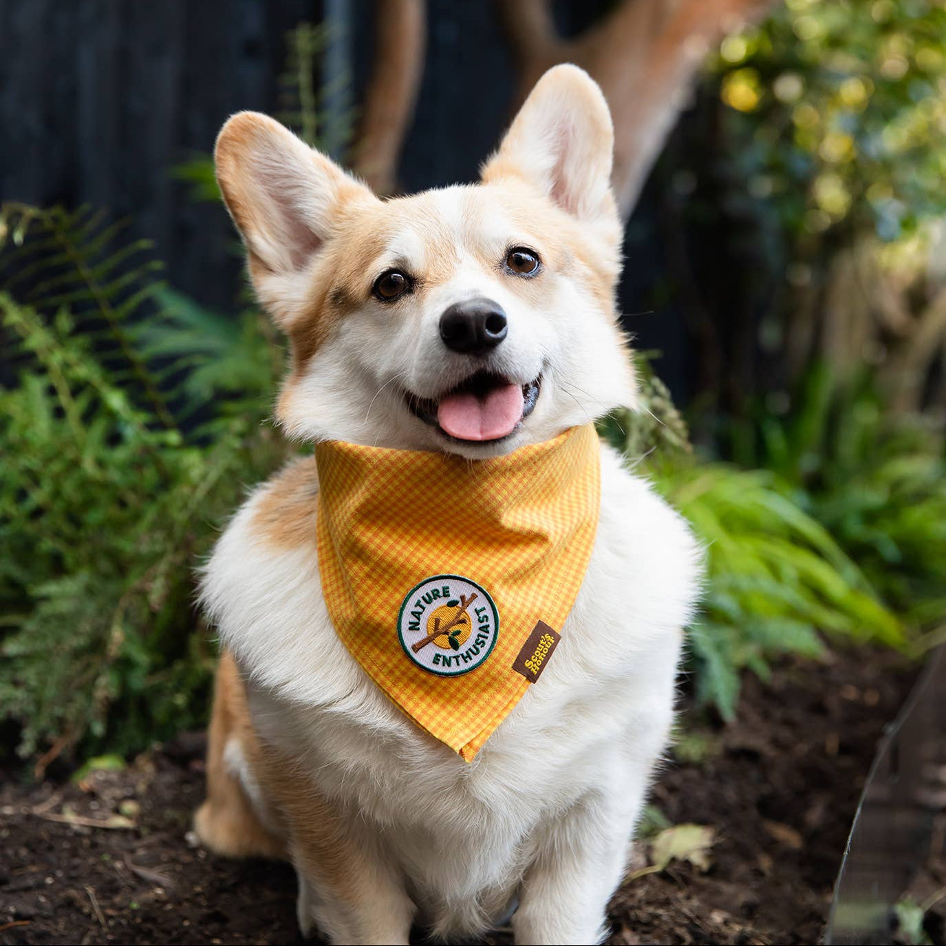 Scout's Honour - Nature Enthusiast iron-on patch for dogs