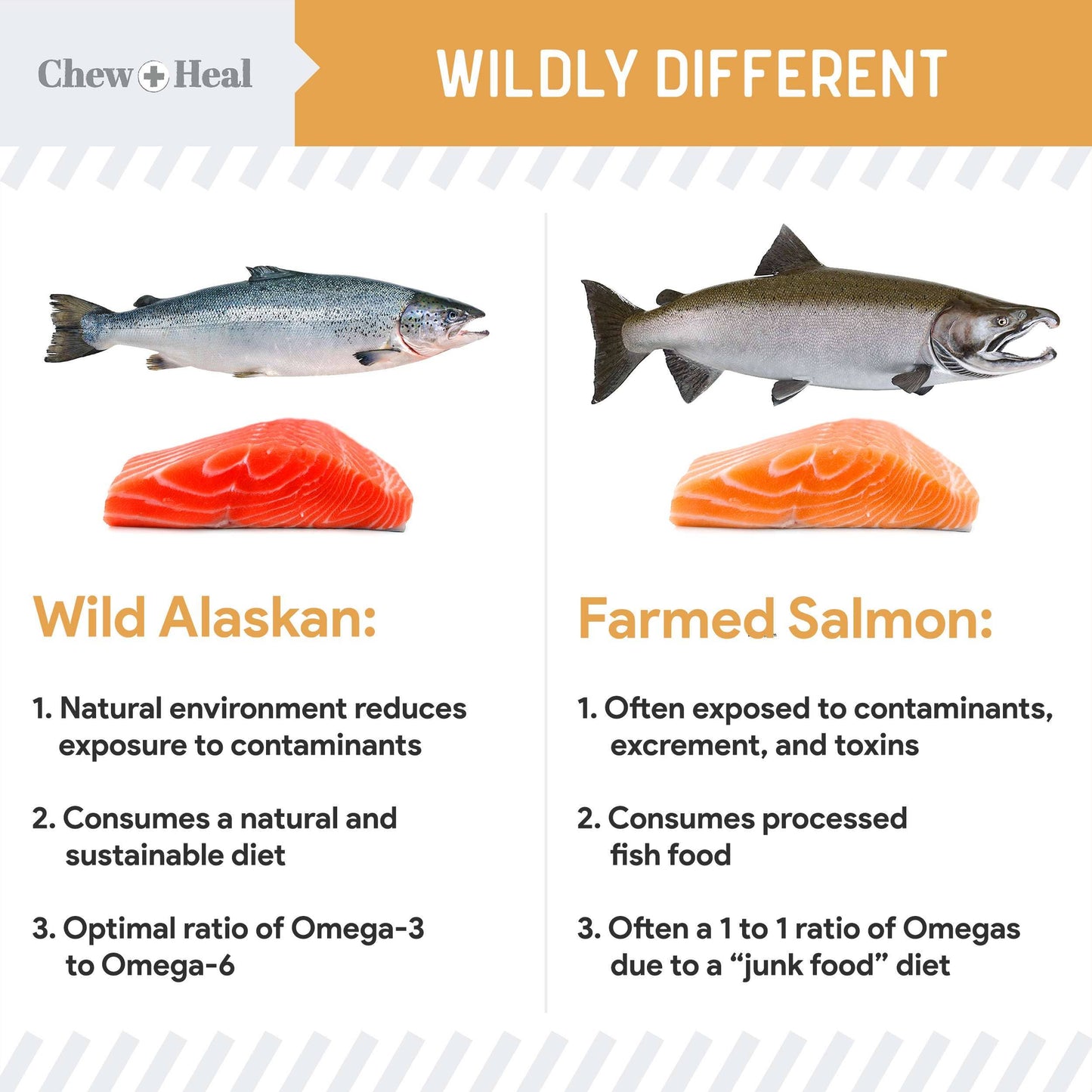 Chew + Heal : Wild Alaskan Omega Soft Jerky Treats for Dogs - 5oz. Bag