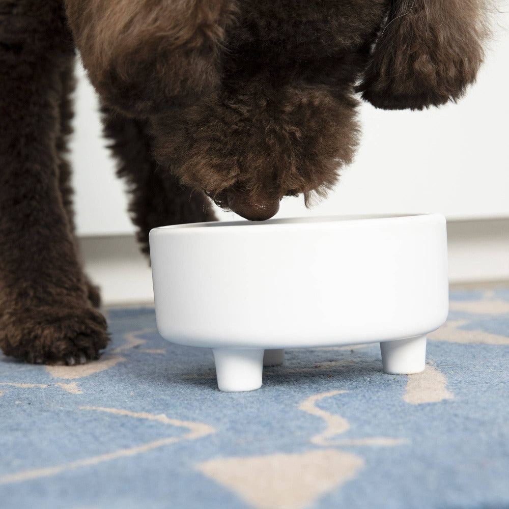 Waggo - Uplift Bowl Ceramic Dog Bowl - Speckle