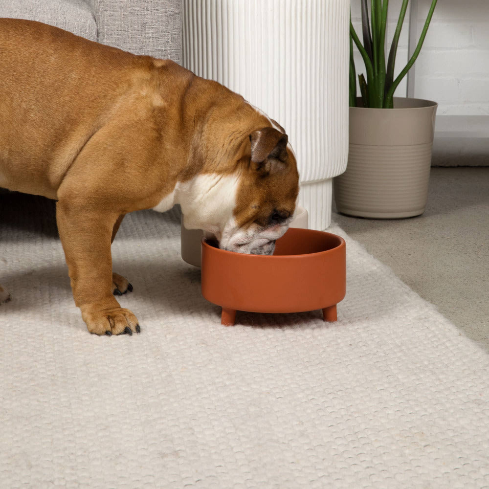 Waggo - Uplift Bowl Ceramic Dog Bowl - Speckle