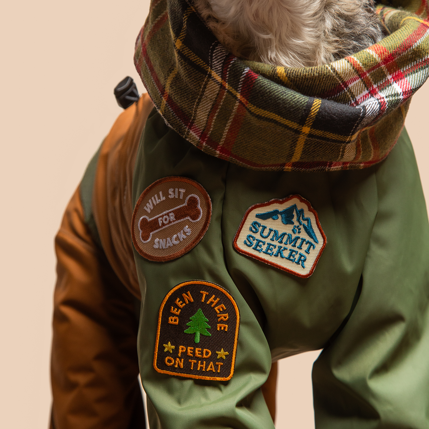 Scout's Honour - Belly Rub Club iron-on patch for dogs