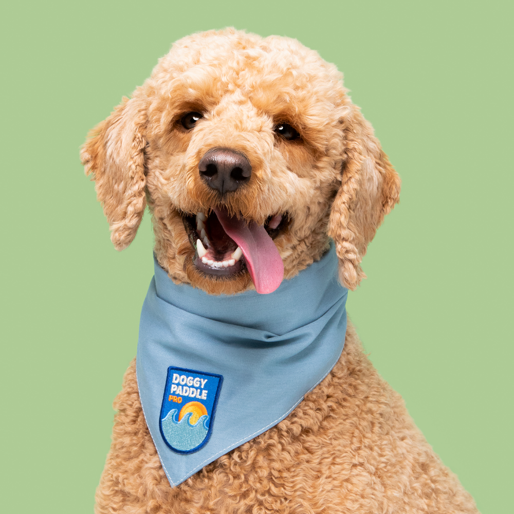 Scout's Honor - Doggy Paddle Pro iron-on patch for dogs