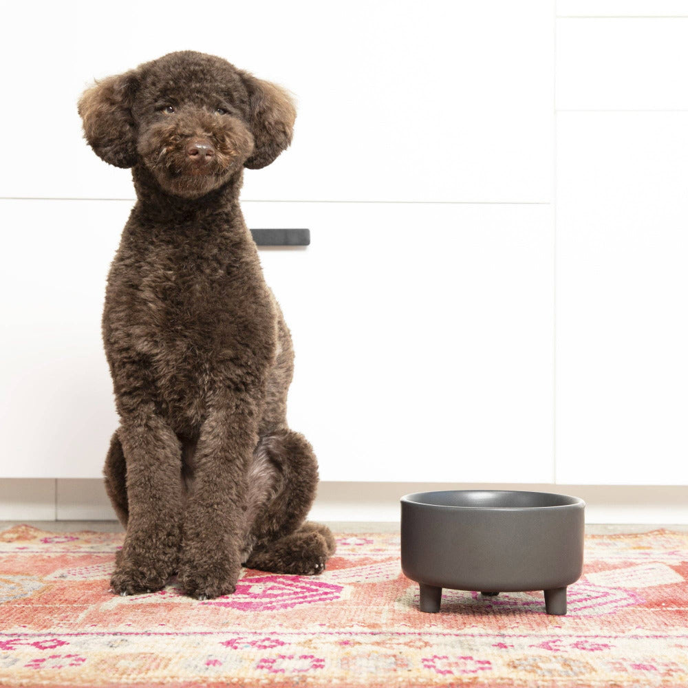 Waggo - Uplift Bowl Ceramic Dog Bowl - Speckle
