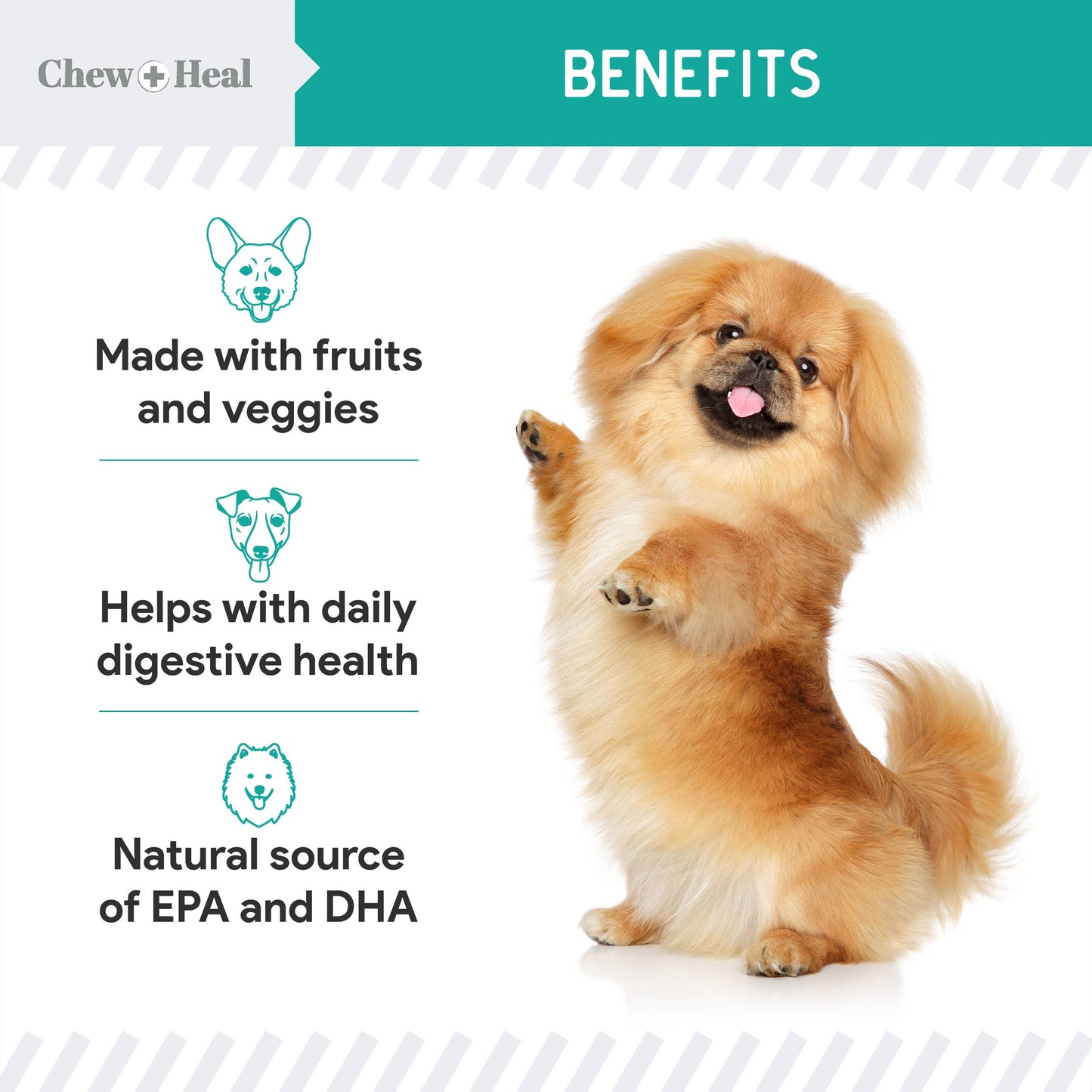 Chew + Heal : Wild Alaskan Probiotic Soft Jerky Treats for Dogs - 5oz.