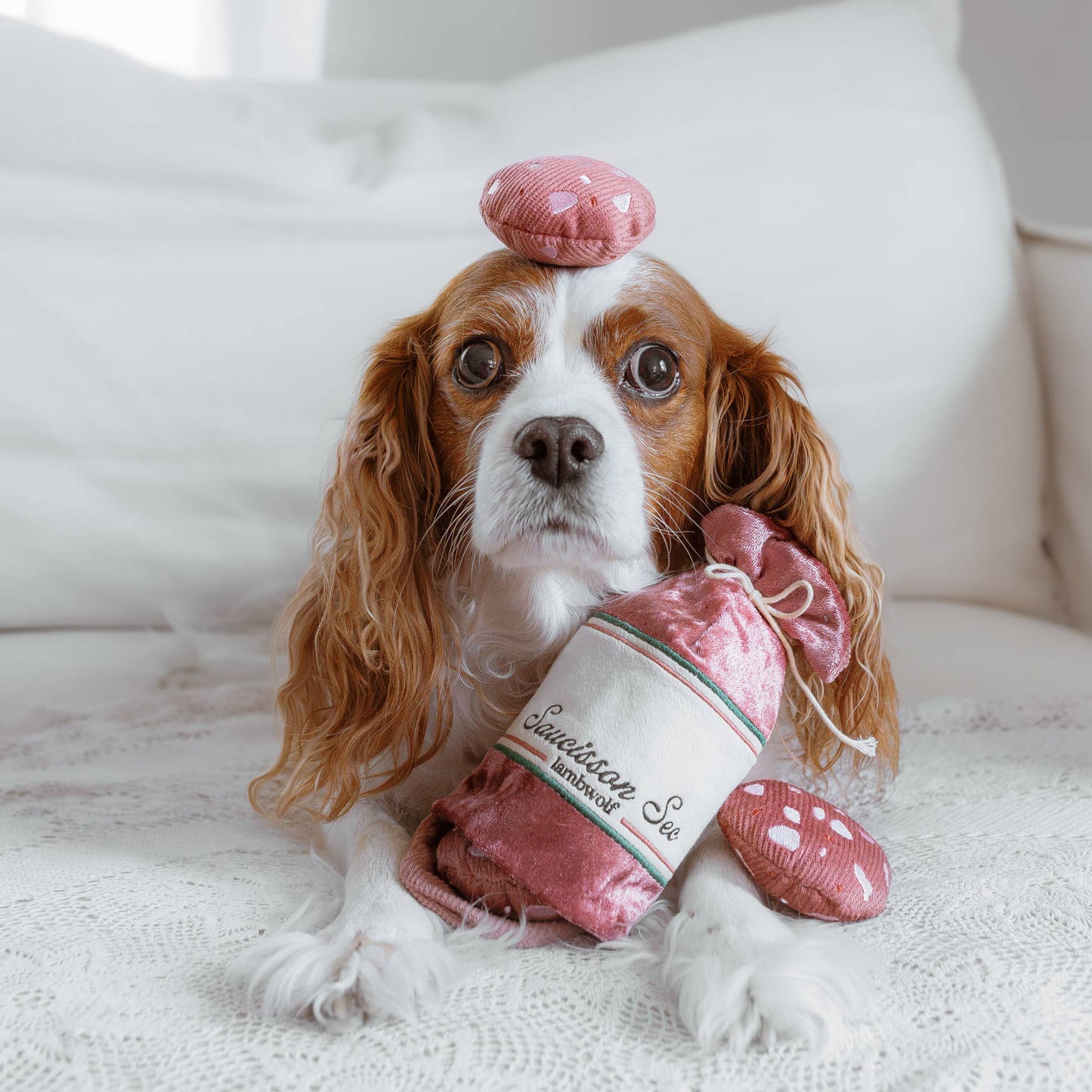 Lambwolf Collective: Saucisson Sec - Enrichment Dog Toy