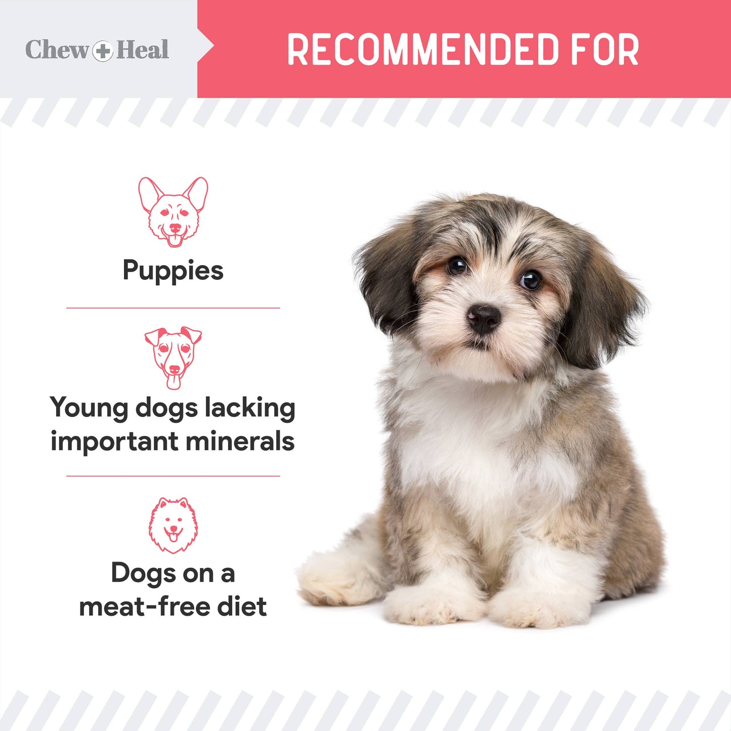 Chew + Heal : Puppy Wild Alaskan Salmon Limited Ingredient Dog Treats: 5oz