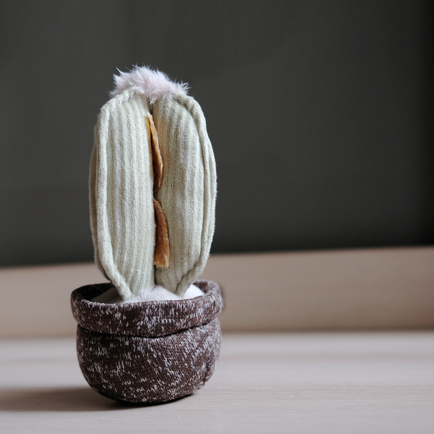 Lambwolf Collective: CACTUS