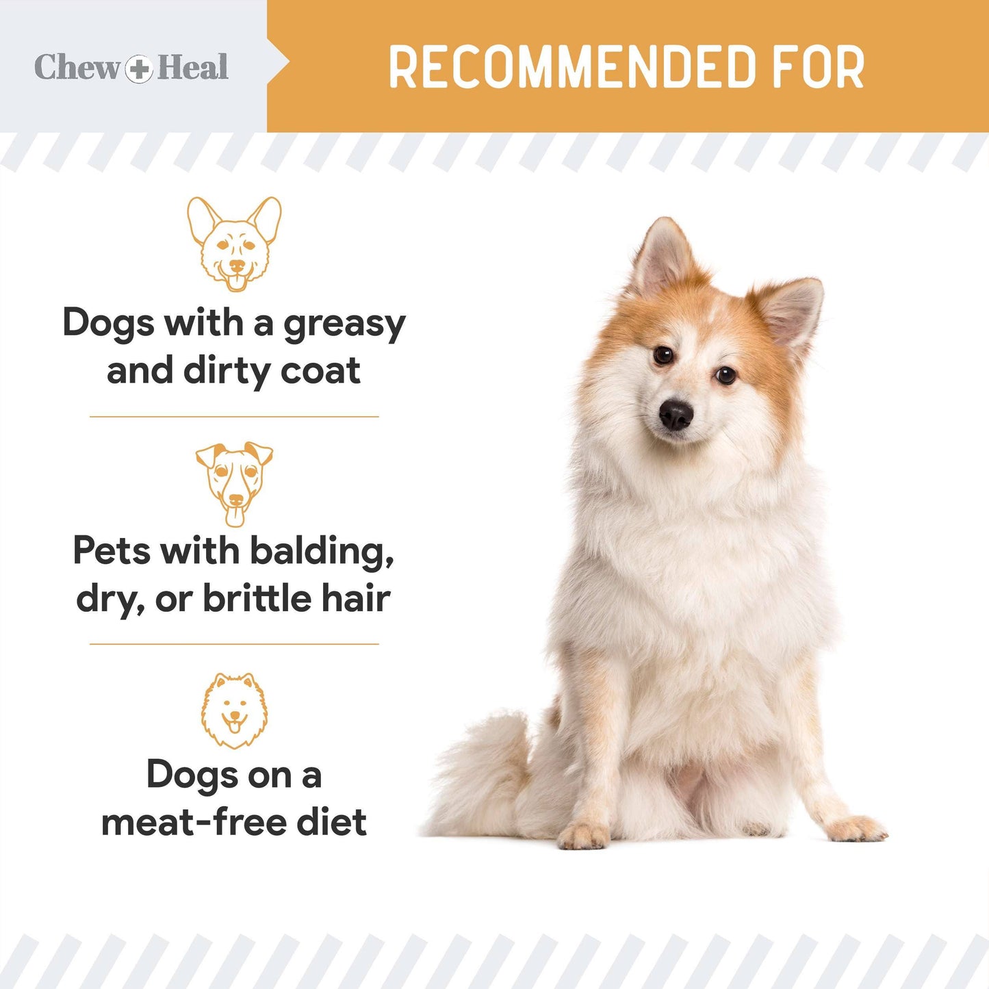 Chew + Heal : Wild Alaskan Omega Soft Jerky Treats for Dogs - 5oz. Bag