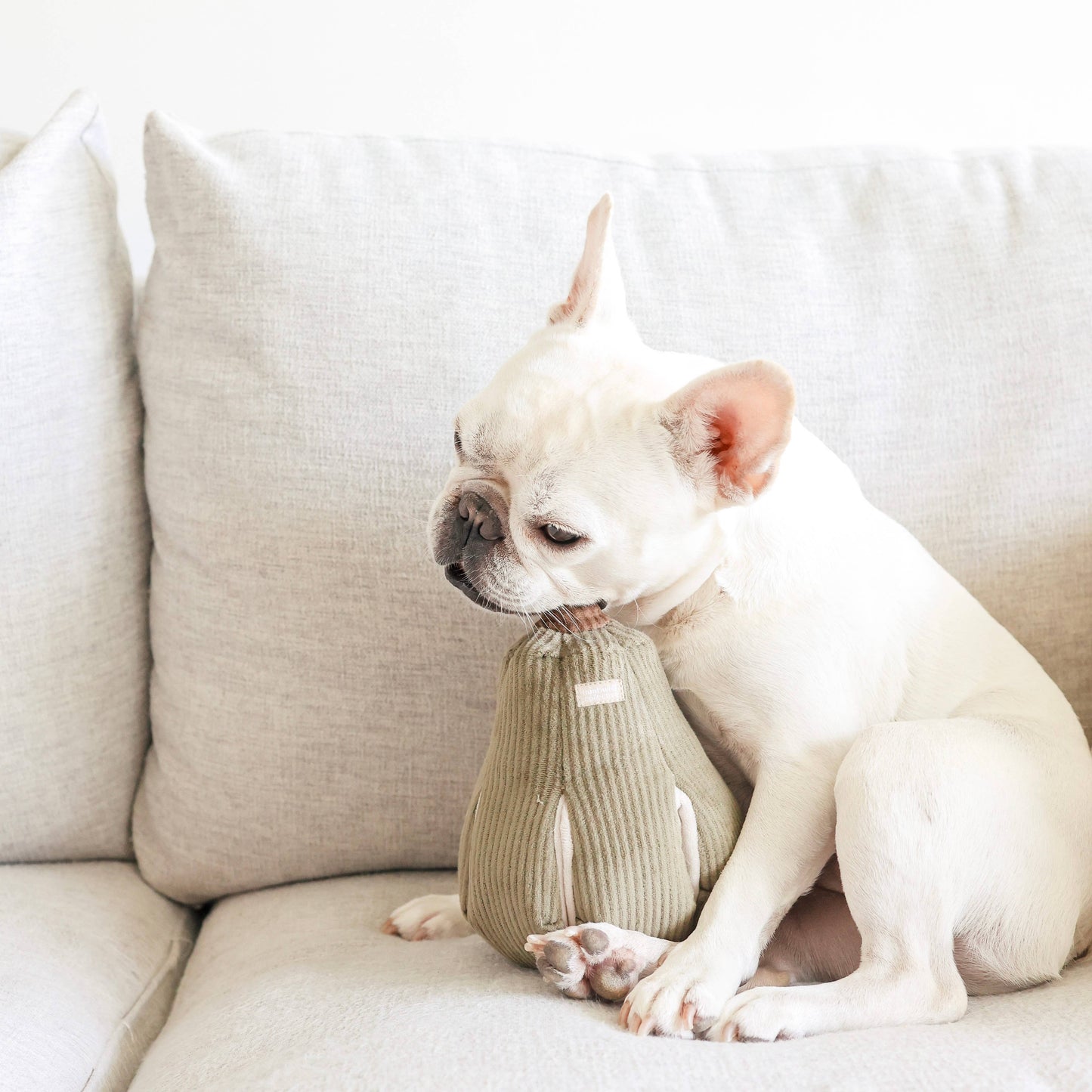 Lambwolf Collective: Butternut - Enrichment Dog Toy
