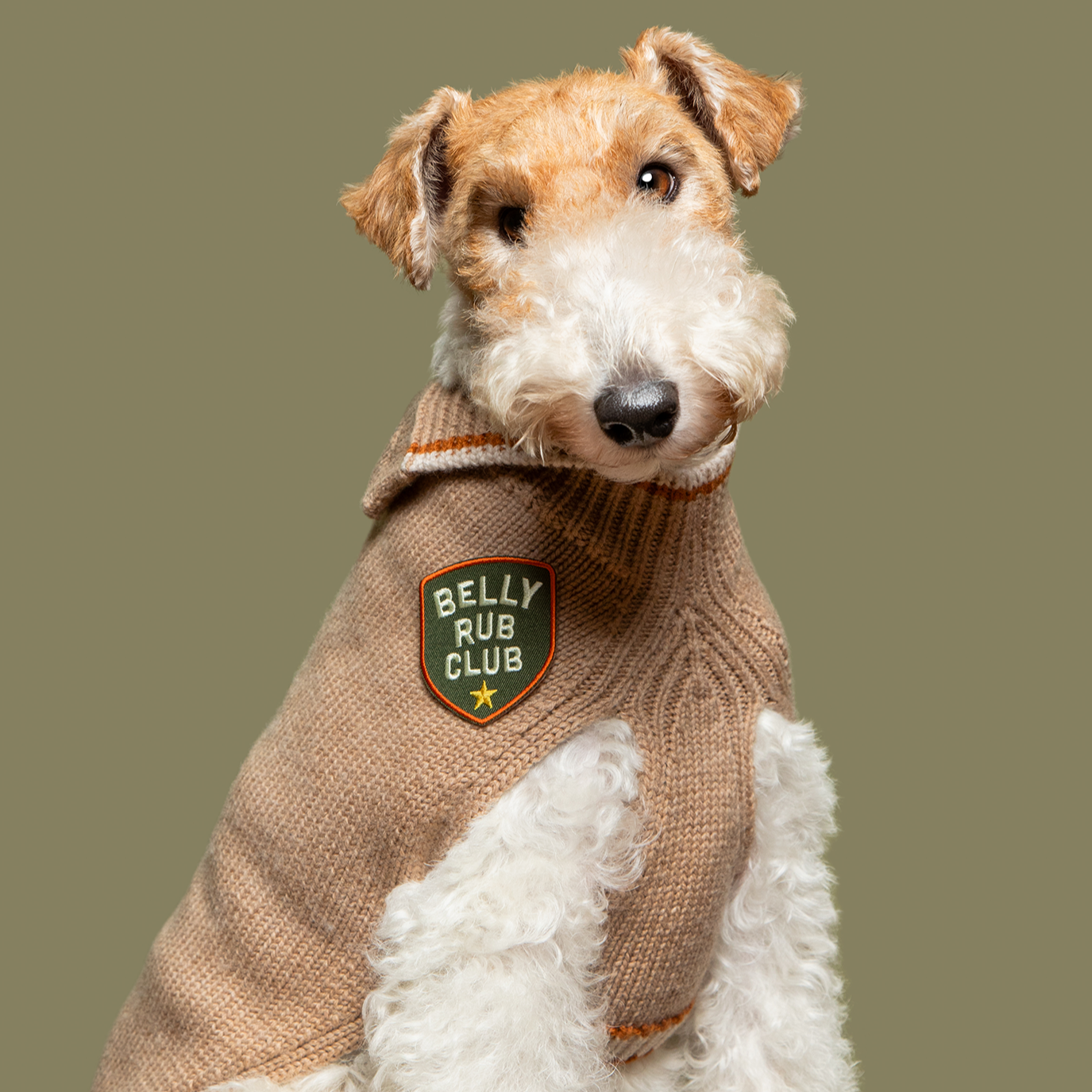 Scout's Honour - Belly Rub Club iron-on patch for dogs