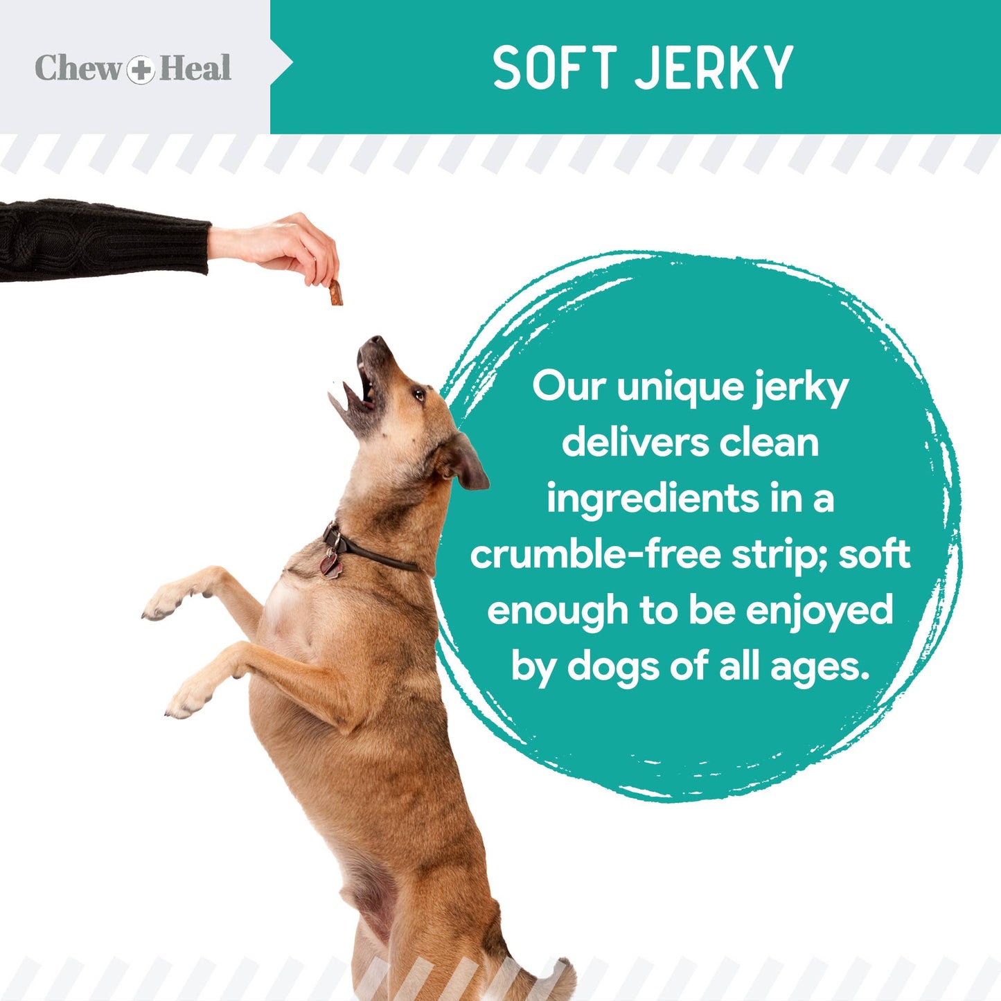 Chew + Heal : Wild Alaskan Probiotic Soft Jerky Treats for Dogs - 5oz.