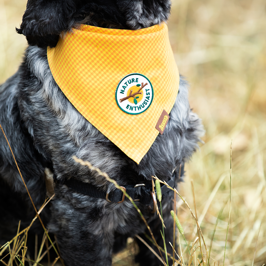 Scout's Honour - Nature Enthusiast iron-on patch for dogs