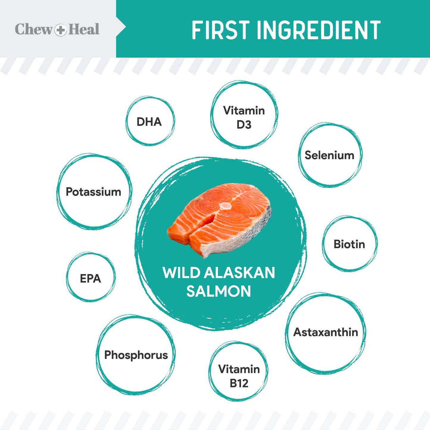 Chew + Heal : Wild Alaskan Probiotic Soft Jerky Treats for Dogs - 5oz.
