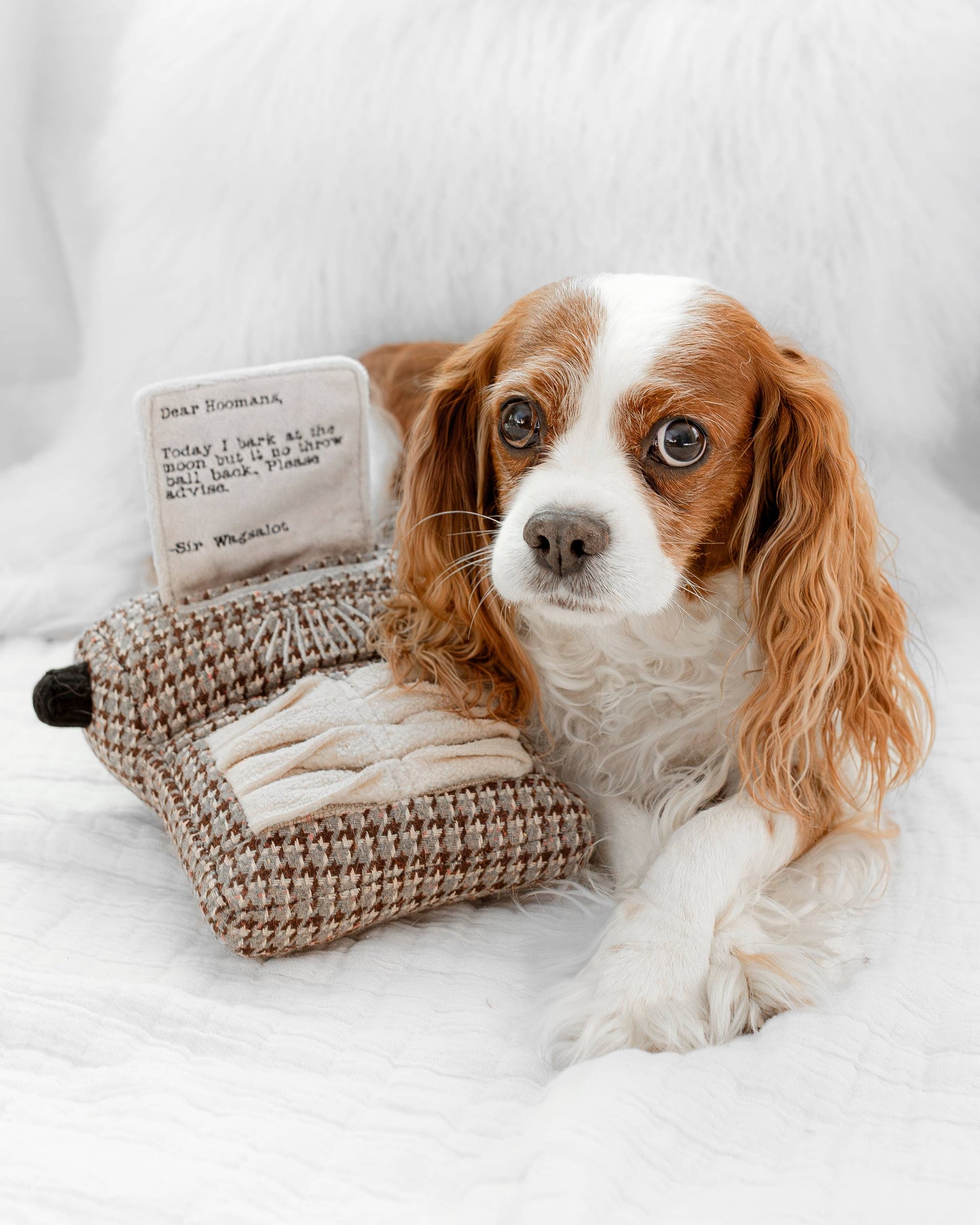 Lambwolf Collective: Typrewriter - Enrichment Dog Toy