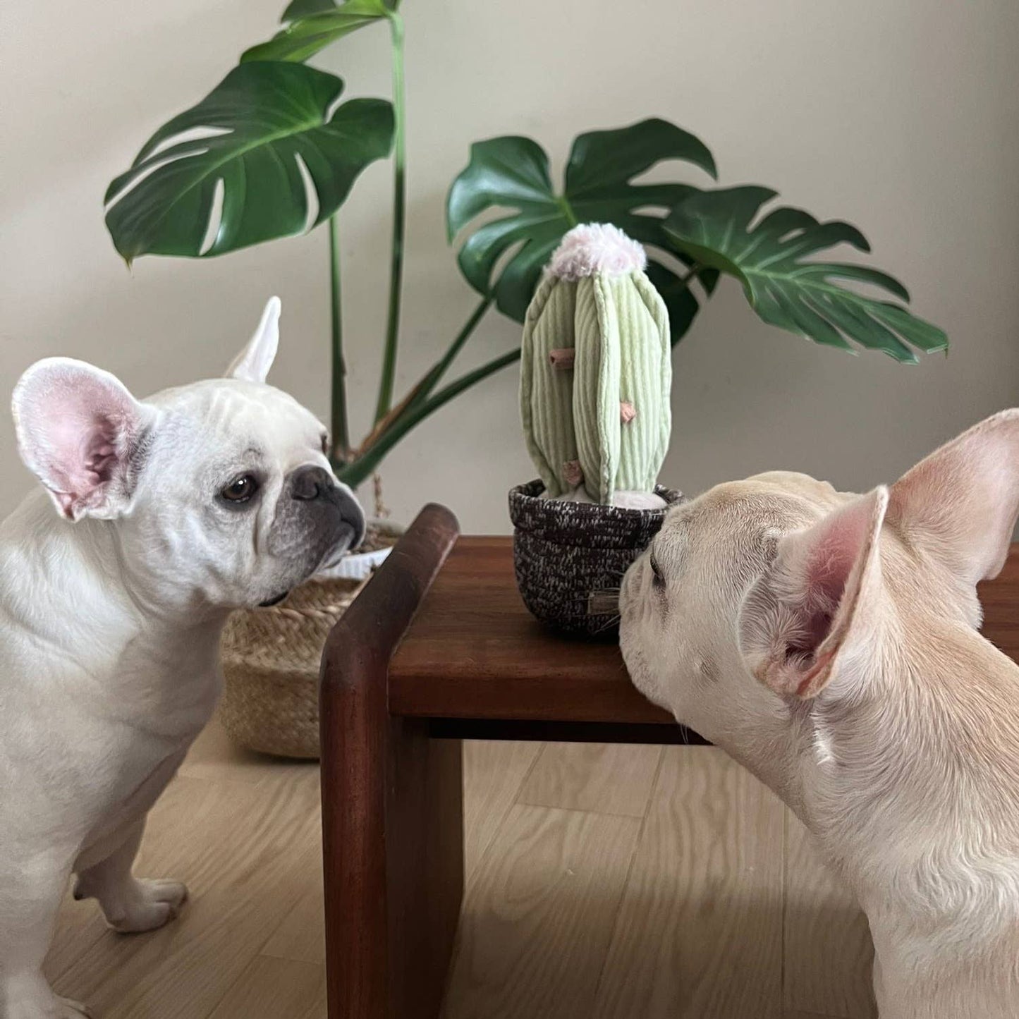 Lambwolf Collective: CACTUS