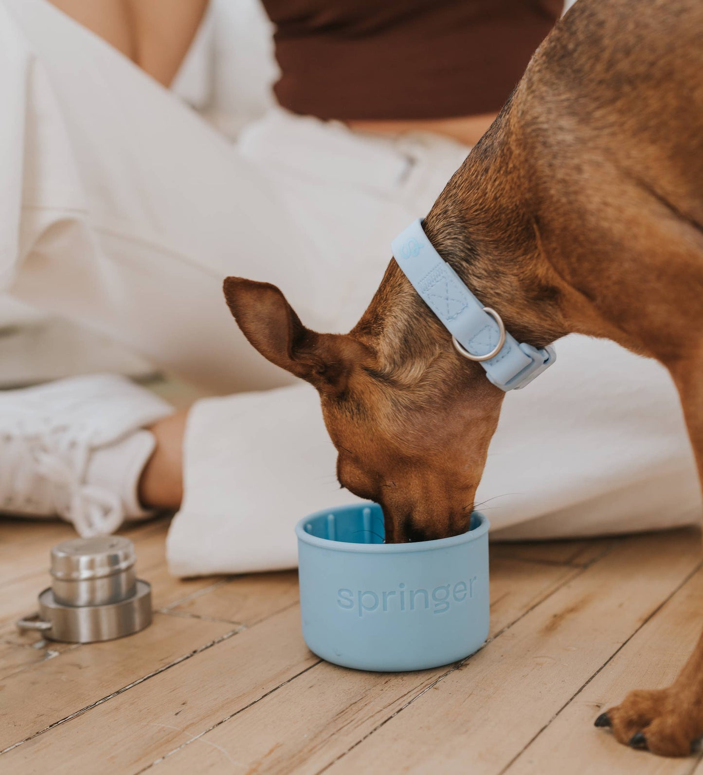 Springer Pets - Dog & Me 24oz Insulated Water Bottle - Sky Blue