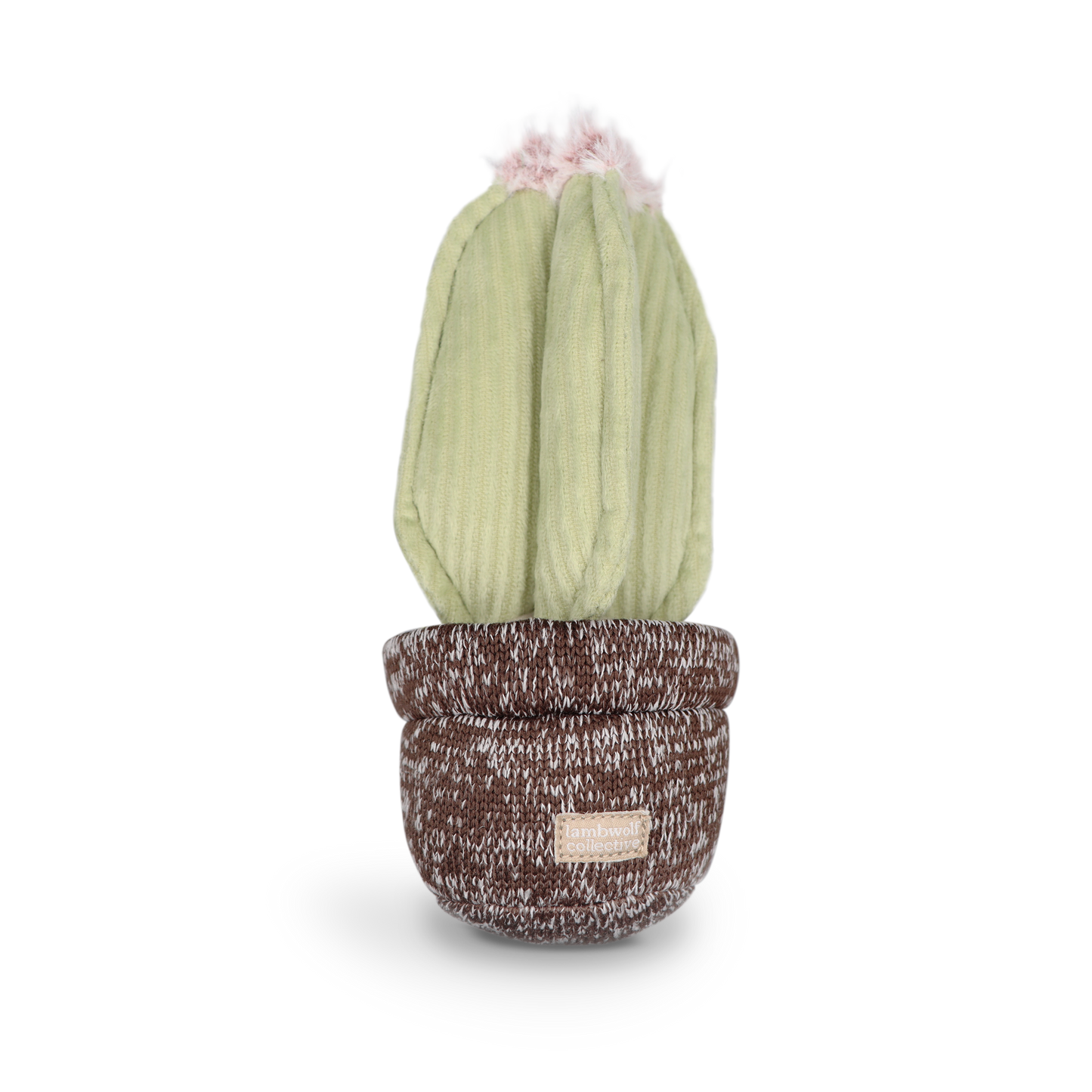 Lambwolf Collective: CACTUS