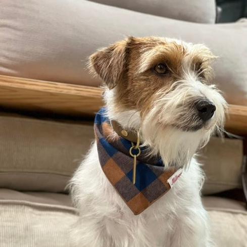 Square Dog Bandana - Classic Brown Buffalo Plaid