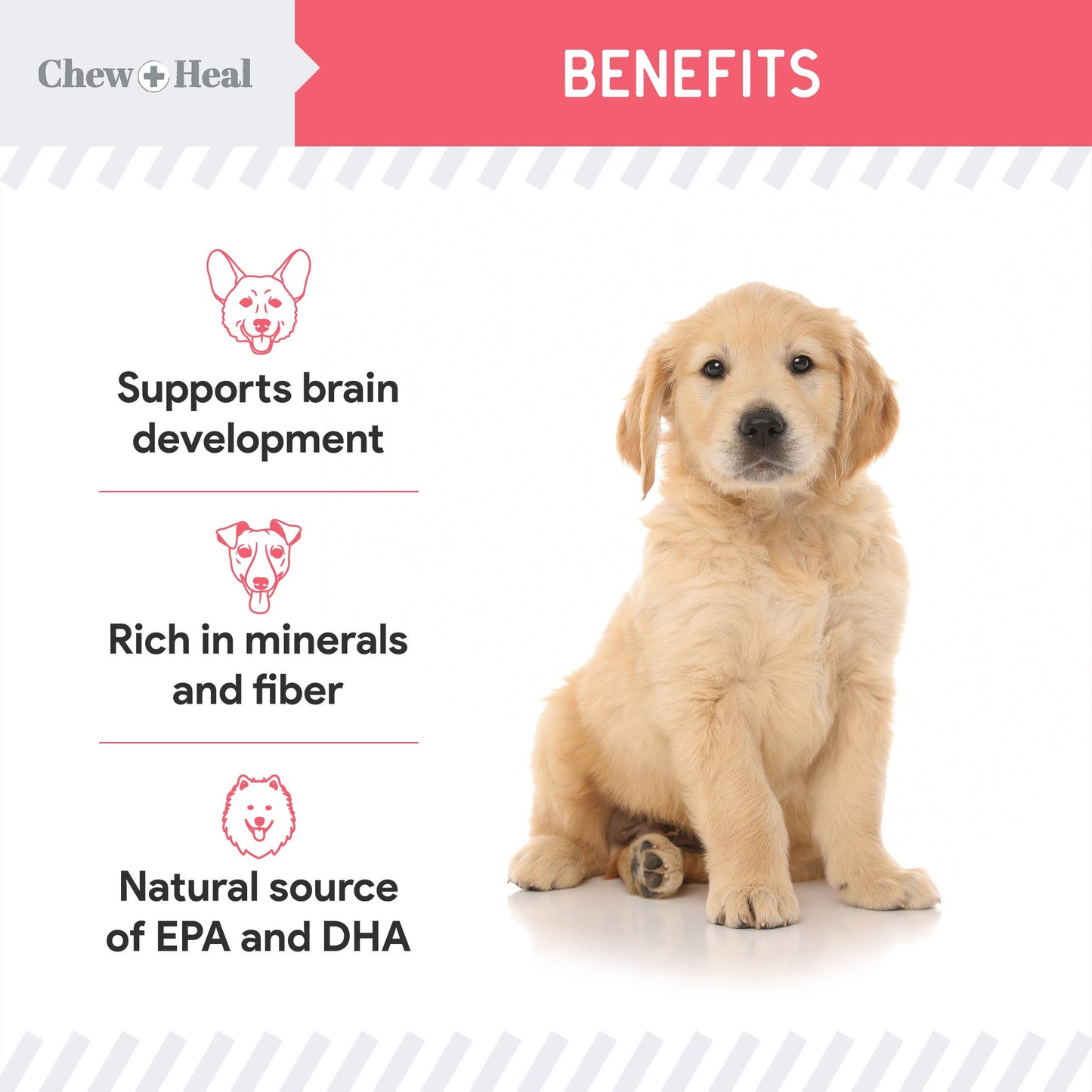 Chew + Heal : Puppy Wild Alaskan Salmon Limited Ingredient Dog Treats: 5oz