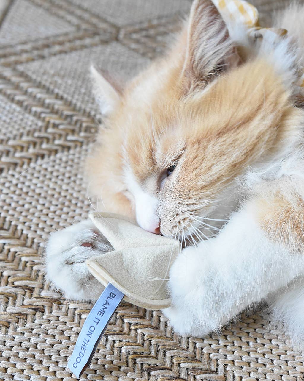 Modernbeast - KITTY FORTUNE COOKIE Organic Catnip Cat Toy: You Will Catch the Mouse