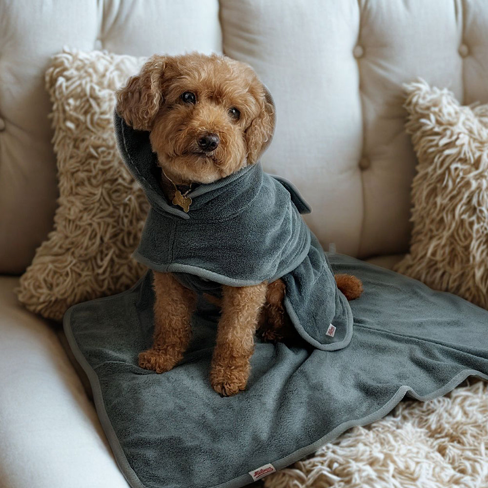 Dog Bathrobe & Towel Set - Granite Grey