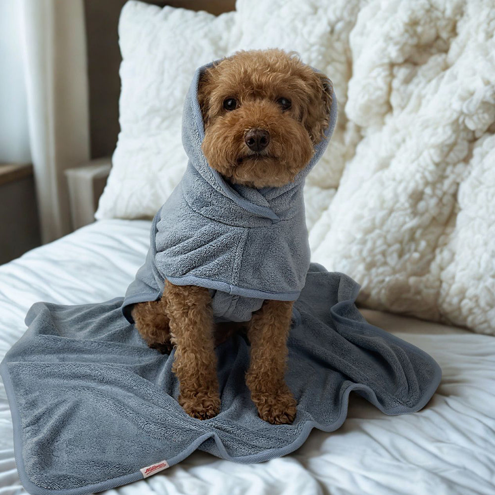 Dog Bathrobe & Towel Set - Powder Blue