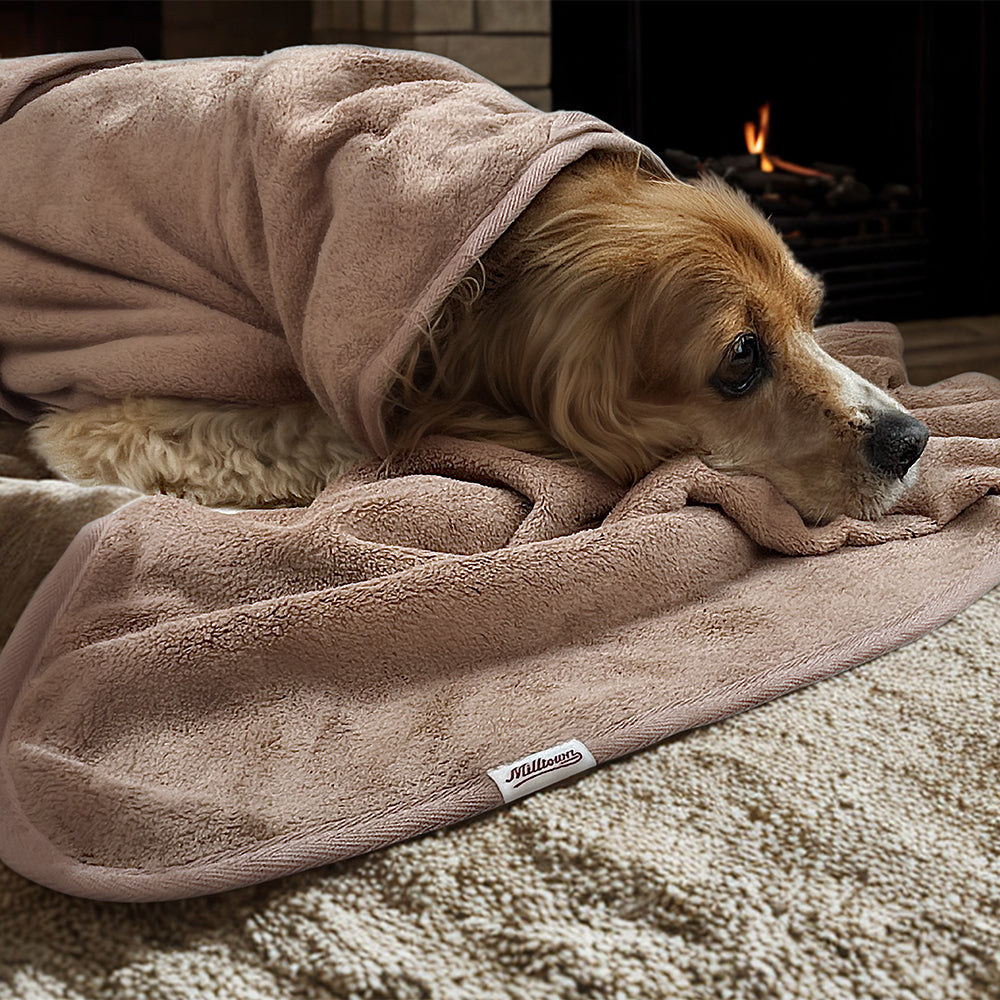 Dog Bathrobe & Towel Set - Rose