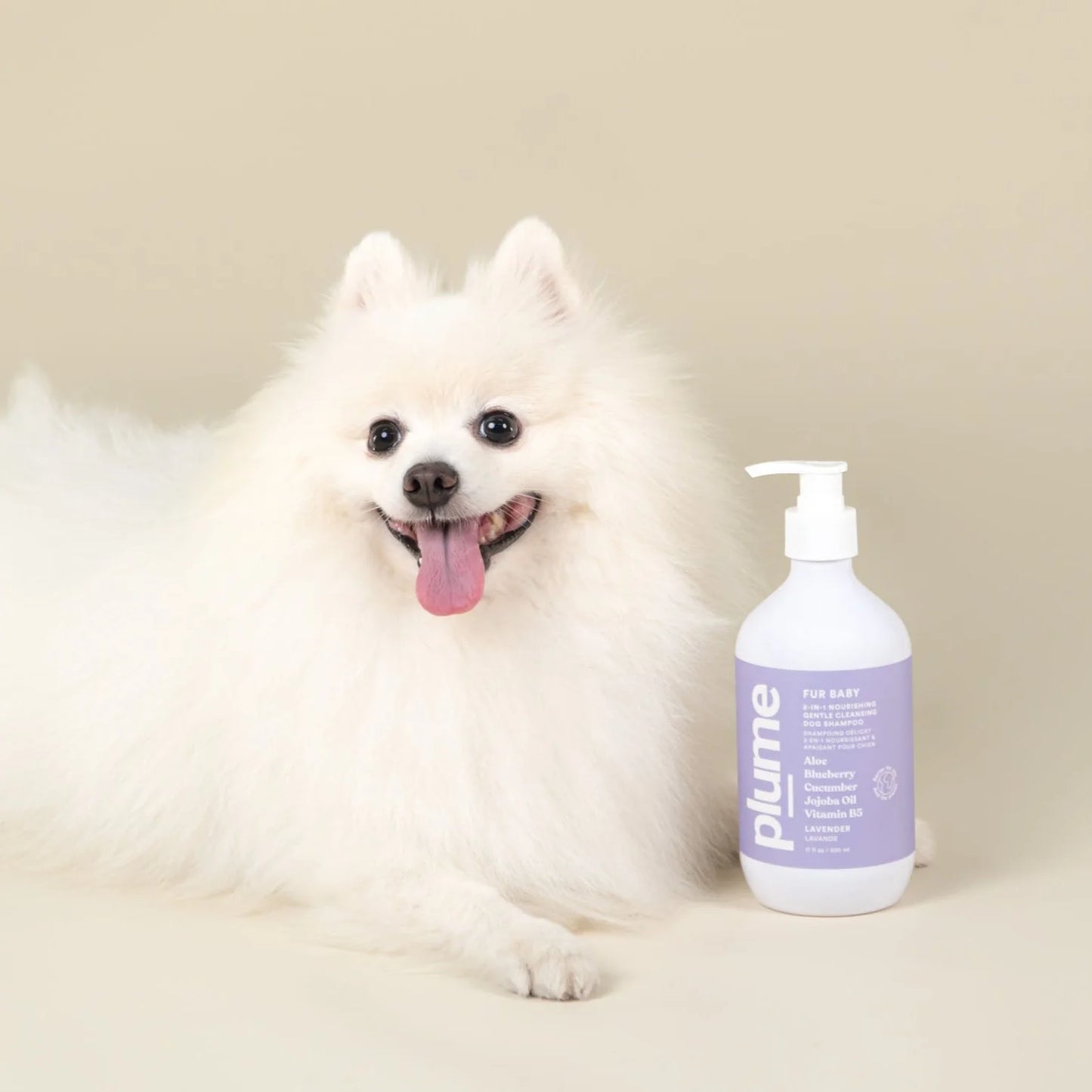 Plume Care - Natural, Soothing & Nourishing Pet Shampoo for Sensitive Skin - Lavender