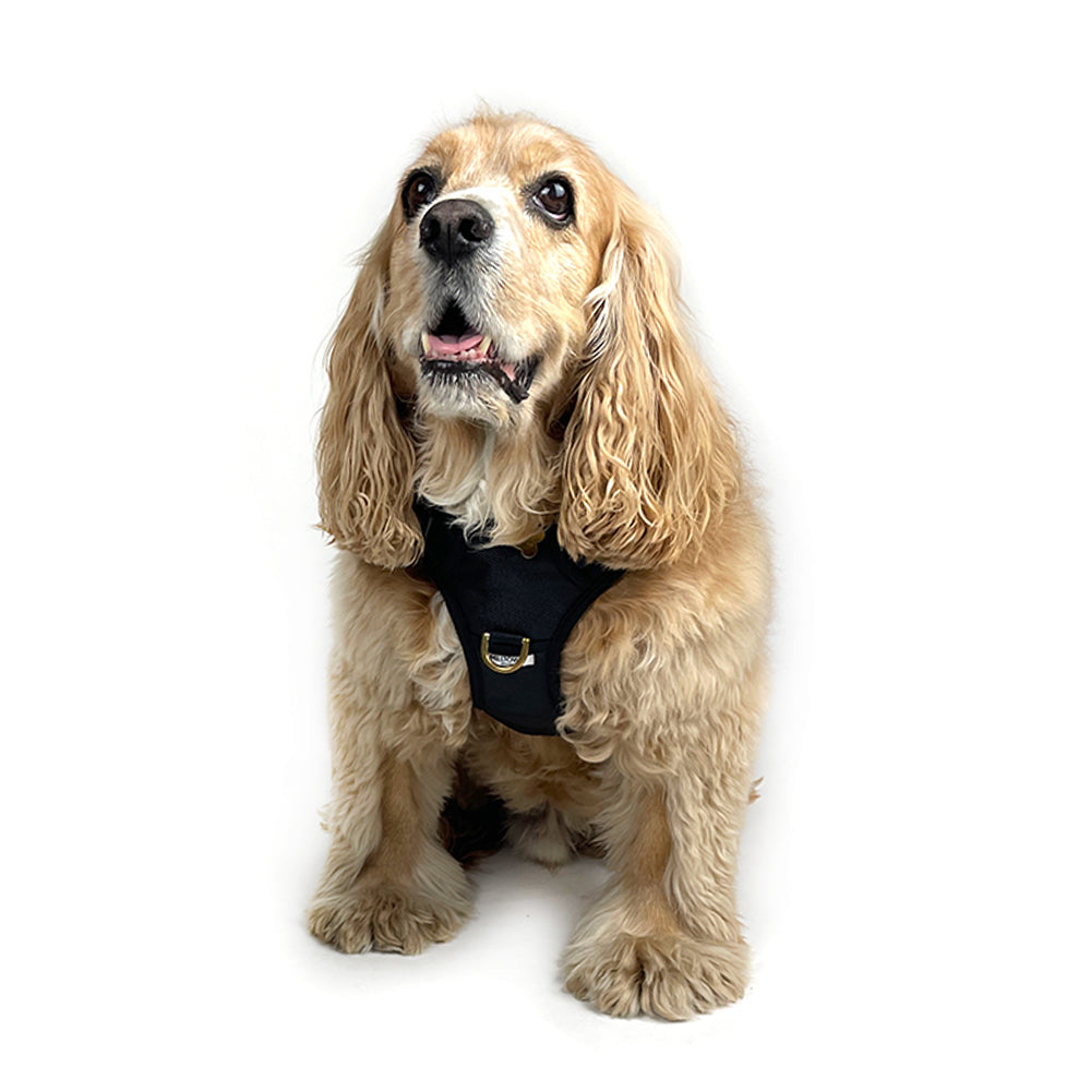 Adjustable Dog Harness - Black