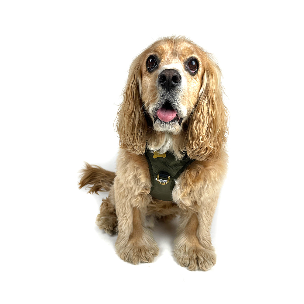 Adjustable Dog Harness - Olive