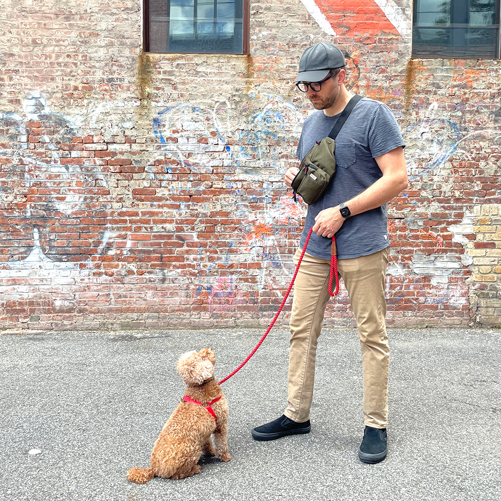 Fanny Pack - Olive