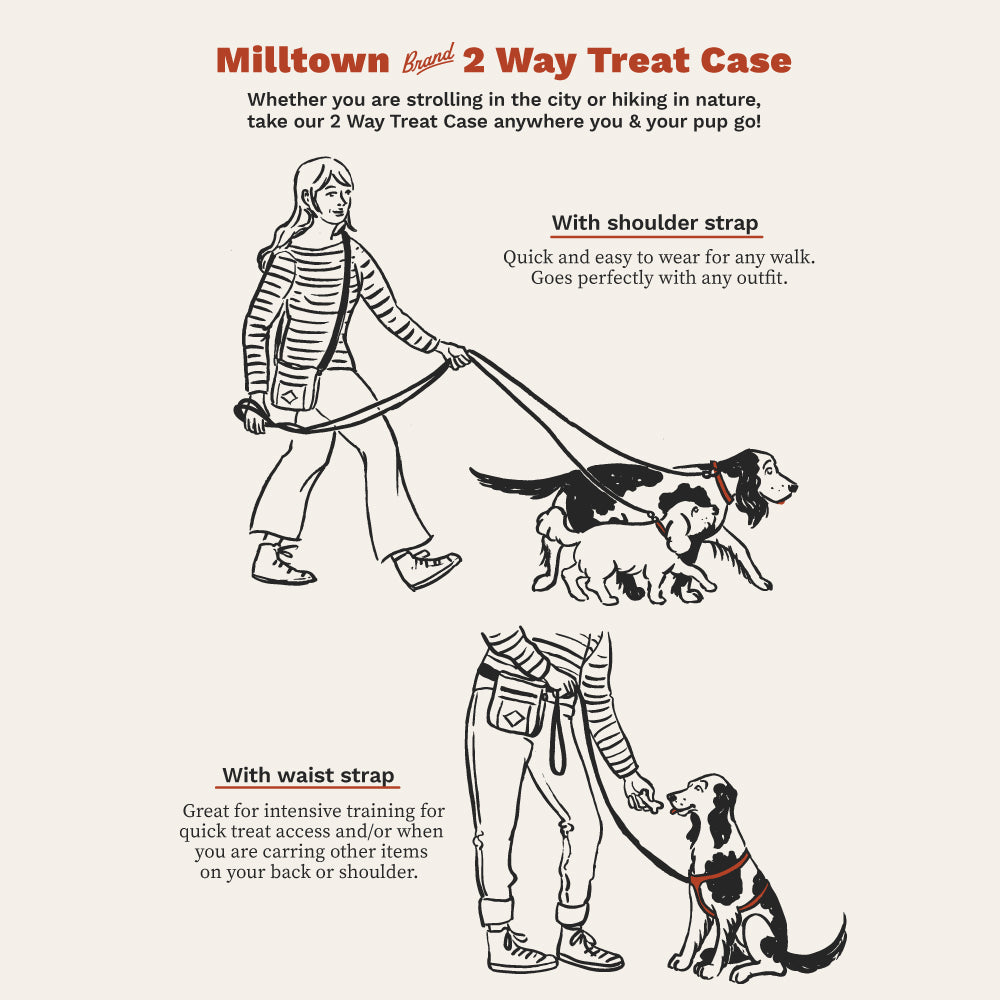 2 Way Treat Case - Nutmeg