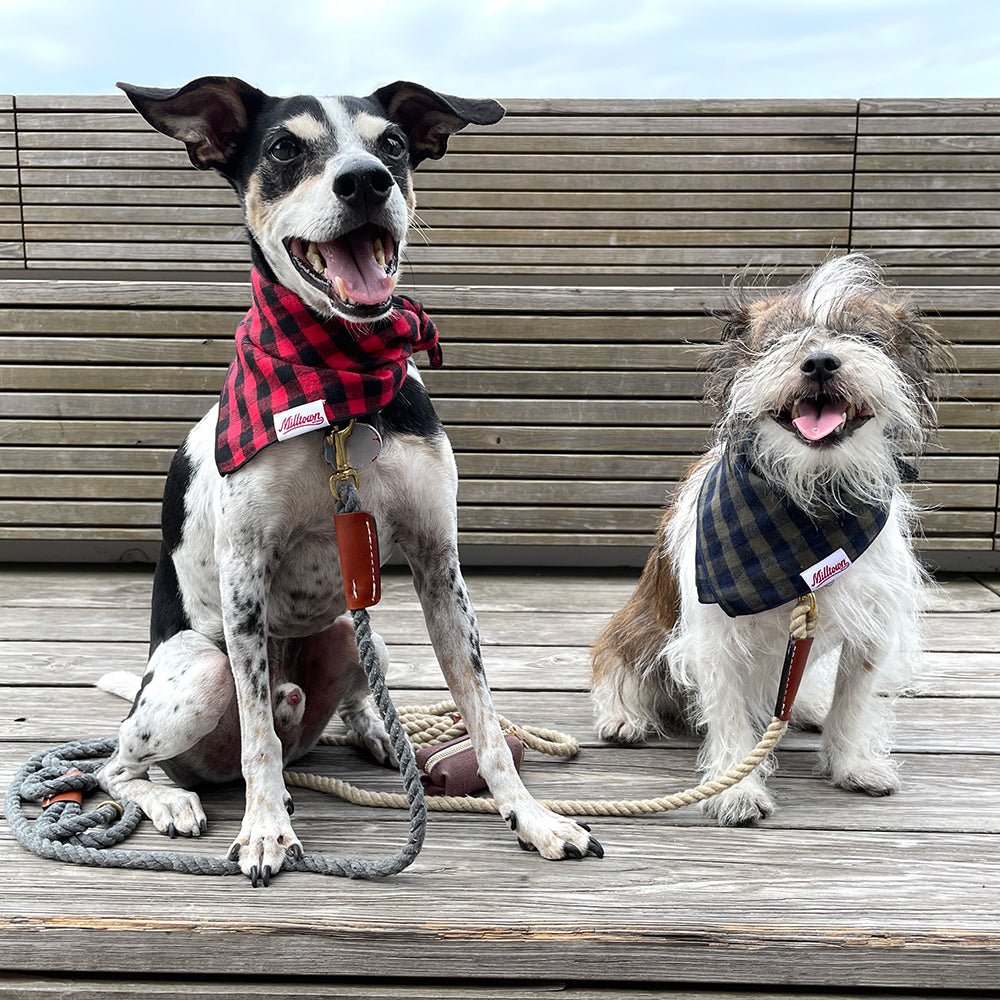 Square Dog Bandana - Red Buffalo Plaid