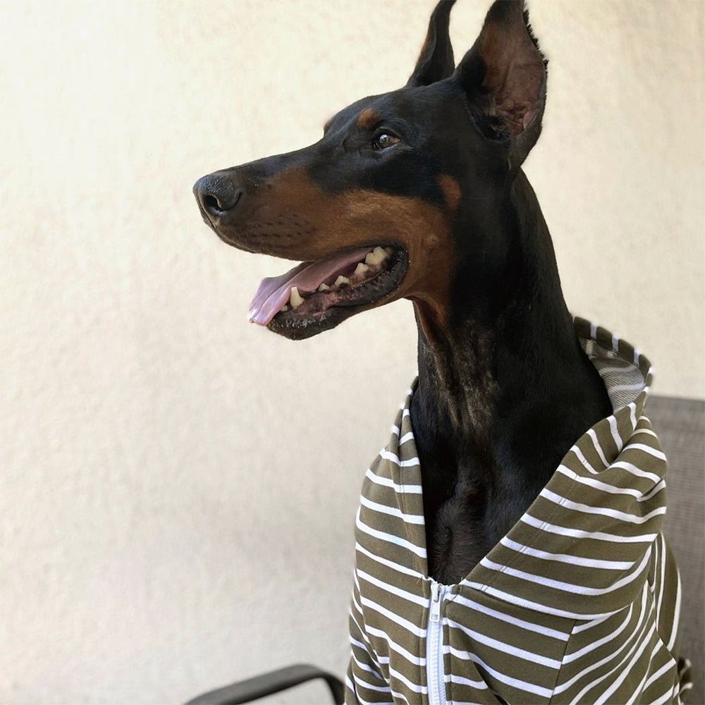 Zip Up Dog Hoodie  - Olive x White Stripe