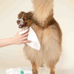 Plume Care - Gentle Cleansing Wet Wipes for Dogs & Cats - Sensitive Skin Approved