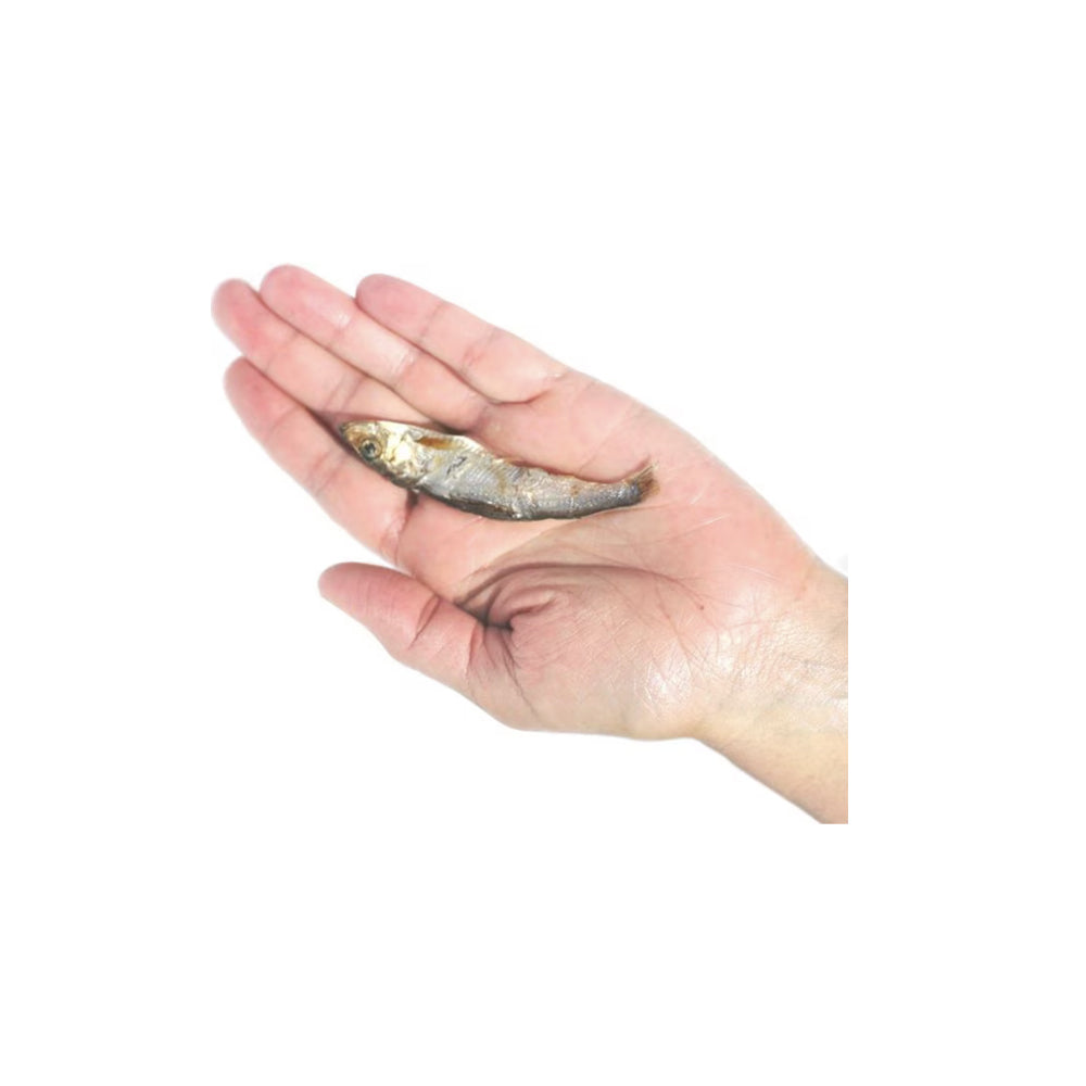 Plato Pet Treats Baltic Sprat 3oz